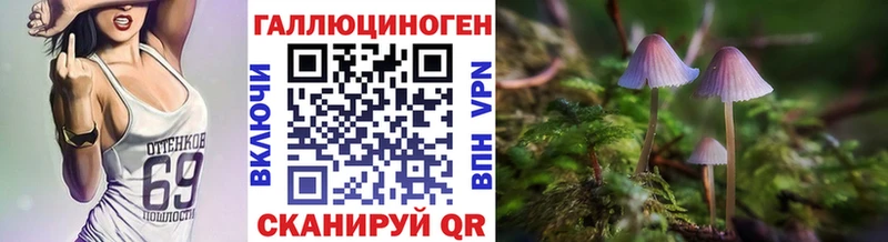 Купить где  Пыталово  Галлюциногенные грибы Magic Shrooms 